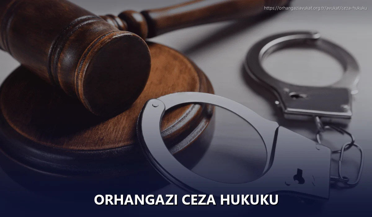 Orhangazi Ceza Hukuku
